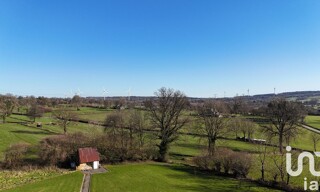 Photo N° 5