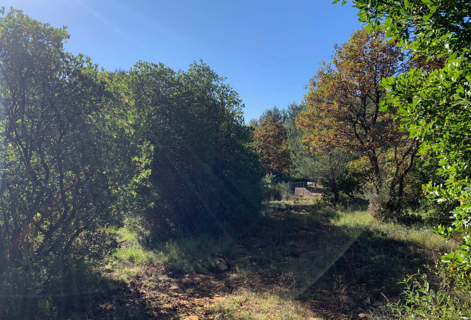 Terrain non constructible de 11265 m² au castellet — photo 1