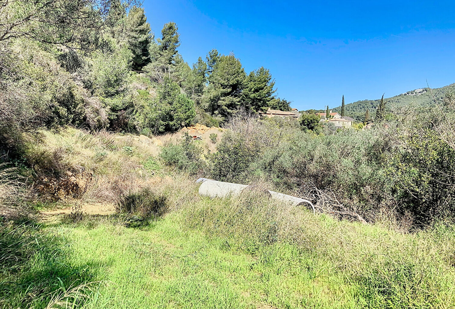BANDOL - TERRAIN Naturel de 10000m² avec cabanon de 48 m² sur... — photo 1