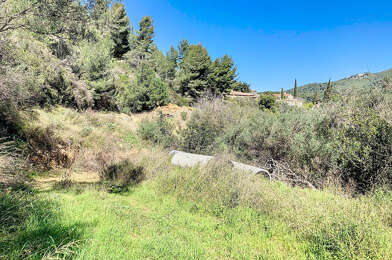 Terrain  350000 €