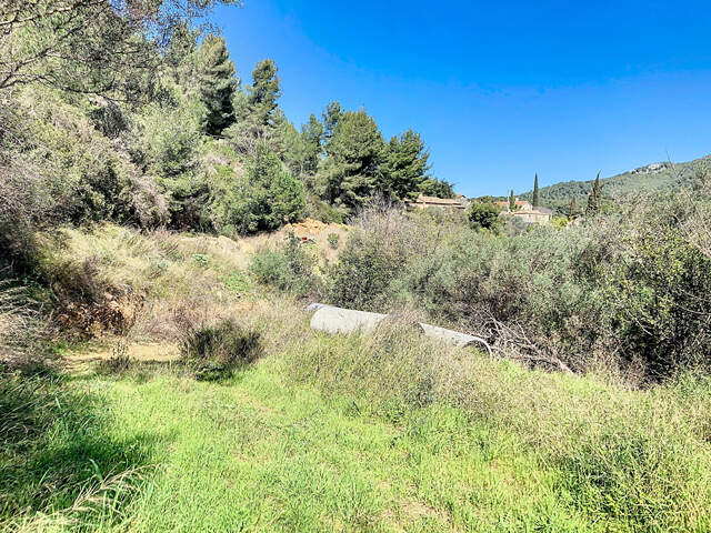 BANDOL - TERRAIN Naturel de 10000m² avec cabanon de 48 m² sur... — photo du bien
