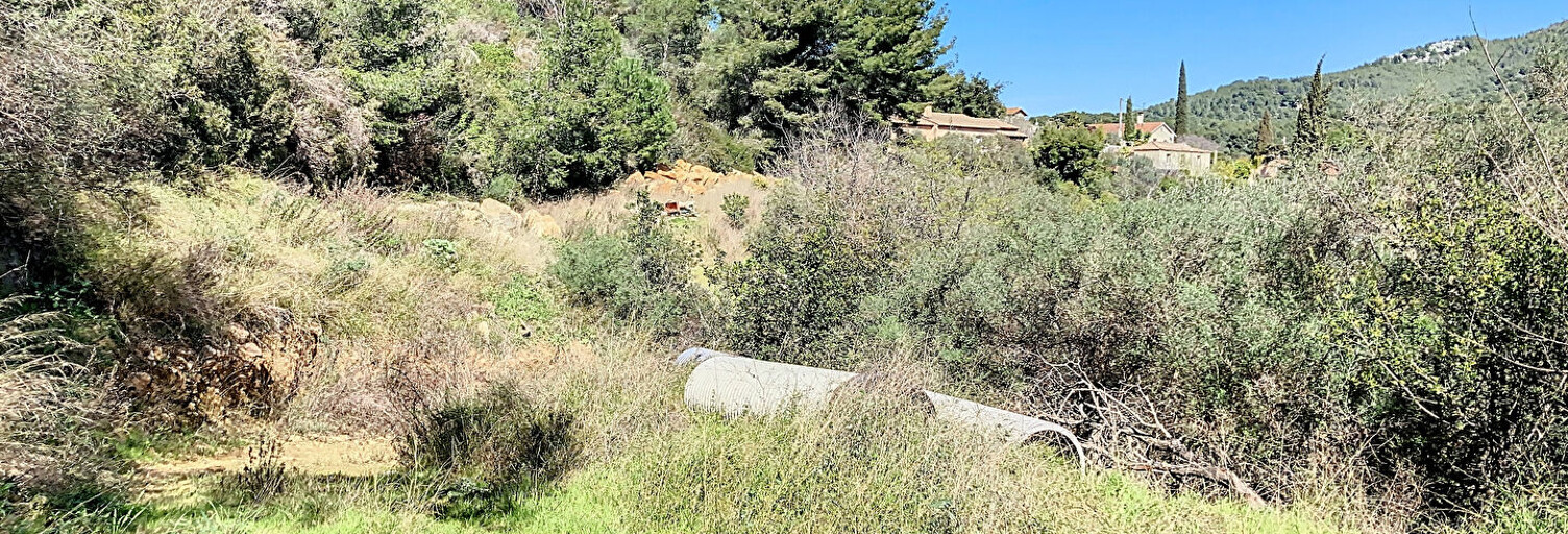 Terrain  10000 m² à vendre à Bandol (83150)