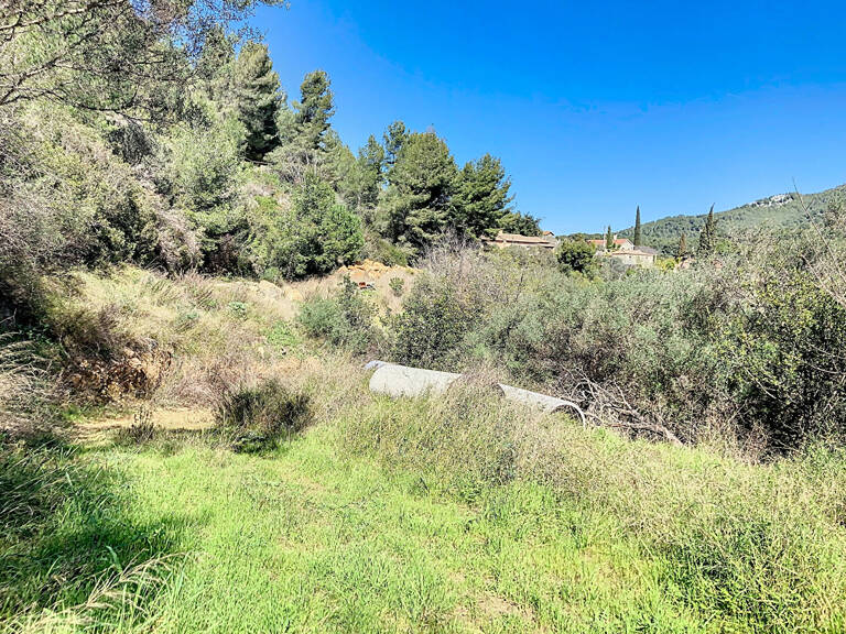 BANDOL - TERRAIN Naturel de 10000m² avec cabanon de 48 m² sur... — photo 1
