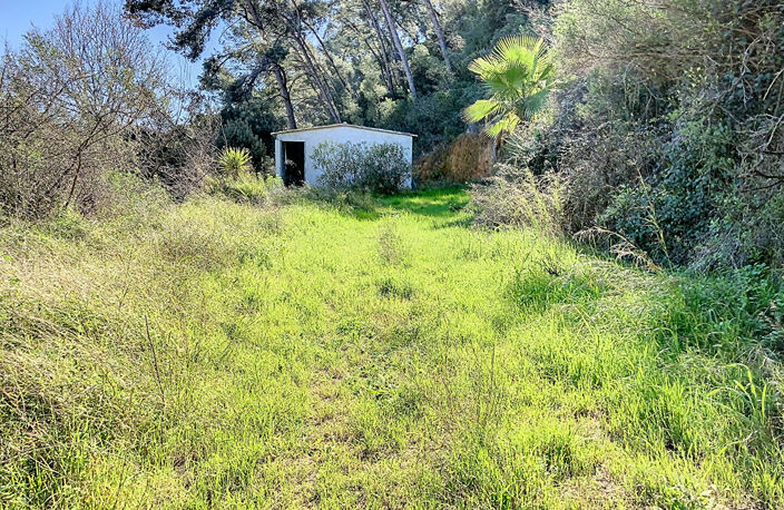 BANDOL - TERRAIN Naturel de 10000m² avec cabanon de 48 m² sur... — photo 2