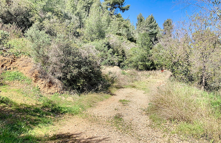 BANDOL - TERRAIN Naturel de 10000m² avec cabanon de 48 m² sur... — photo 3