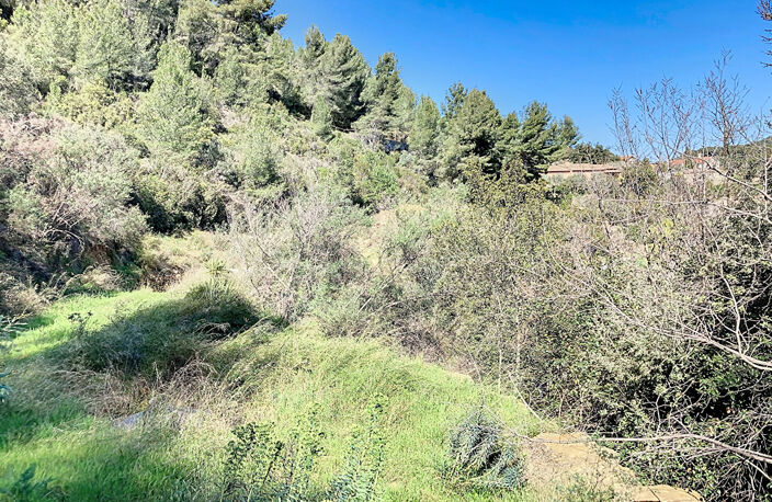 BANDOL - TERRAIN Naturel de 10000m² avec cabanon de 48 m² sur... — photo 4