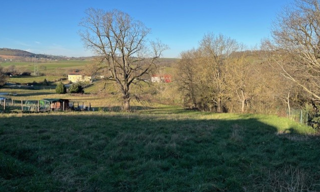 Terrain  1111 m² à vendre à Saussenac (81350)