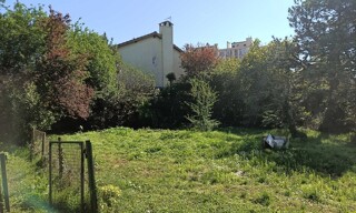 Photo N° 6