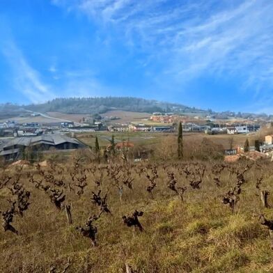 Terrain  150000 €