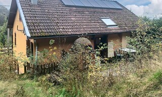 Photo N° 4