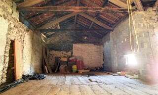Photo N° 6