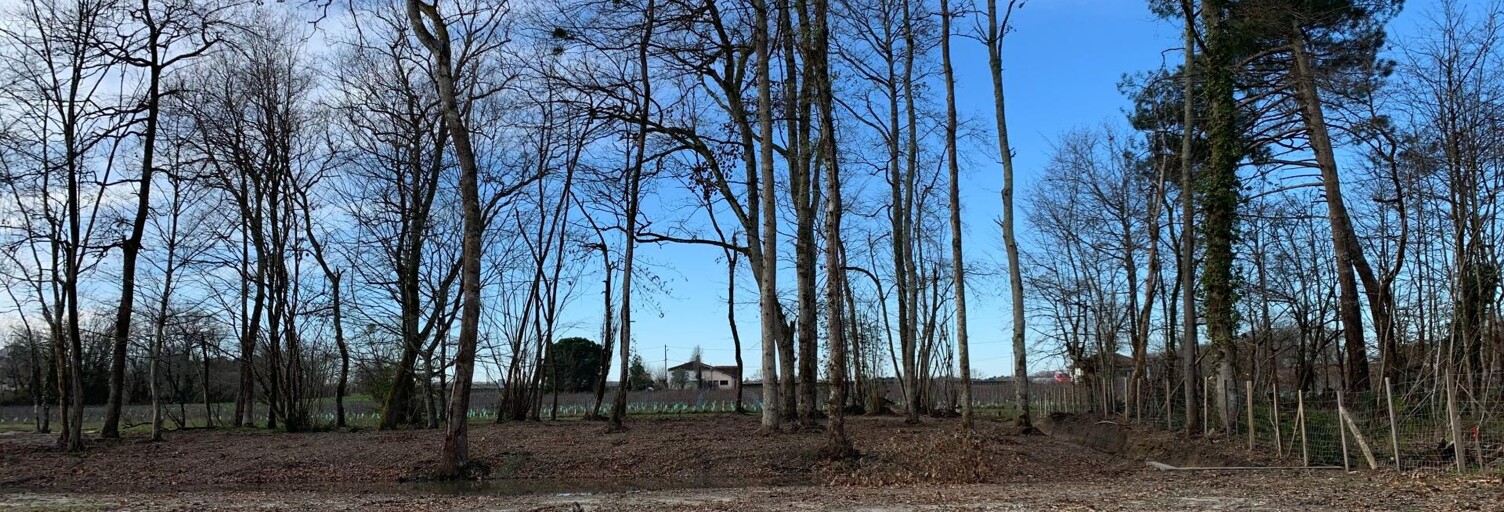 Terrain  836 m² à vendre à Léognan (33850)