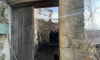 Photo N° 5