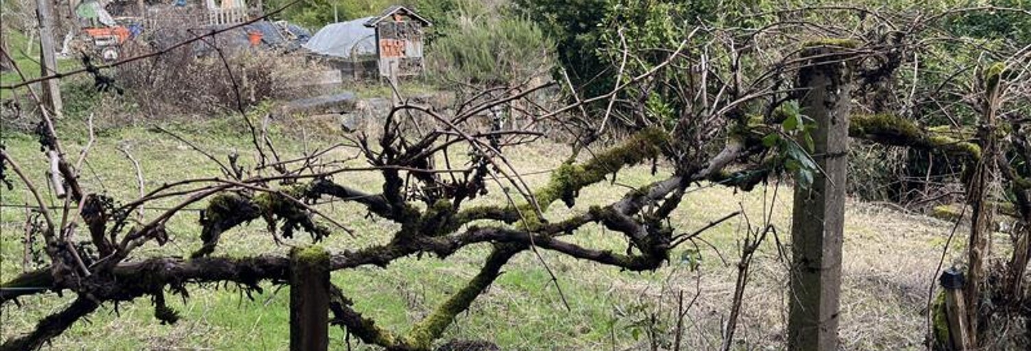 Maison 5 Pièces 120 m² à vendre à Objat (19130)