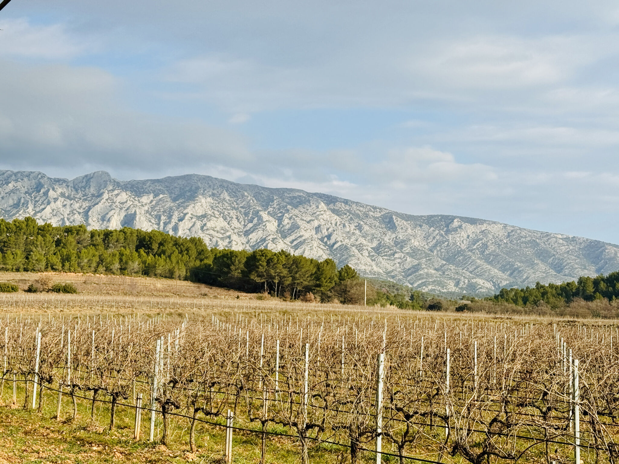 Villa / Maison  T4 à vendre Puyloubier 13114