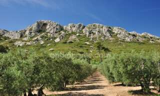 Commerce  88 m² à louer à Saint-Rémy-de-Provence (13210)