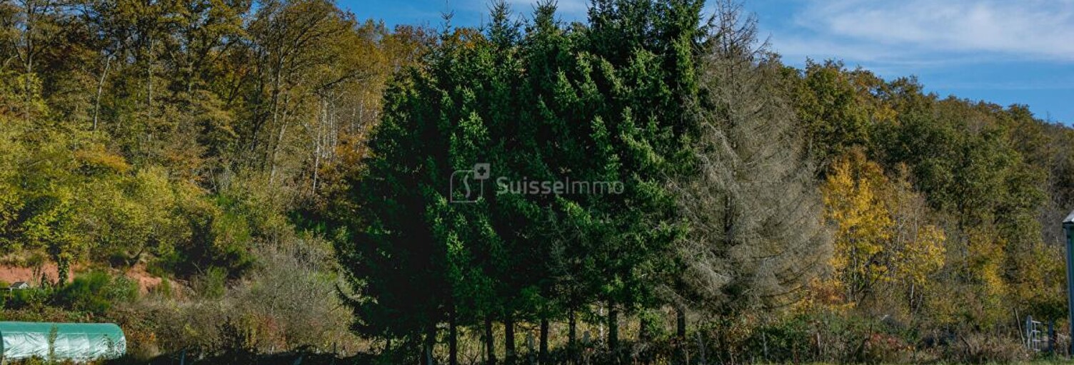 Terrain  1180 m² à vendre à Champagney (70290)