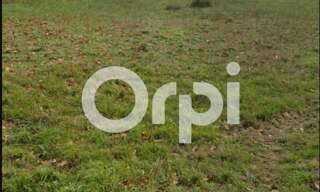 Terrain  1270 m² à vendre à Quint-Fonsegrives (31130)