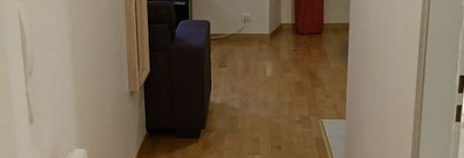 Appartement 1 Pièce 30 m² à louer à Colmar (68000)