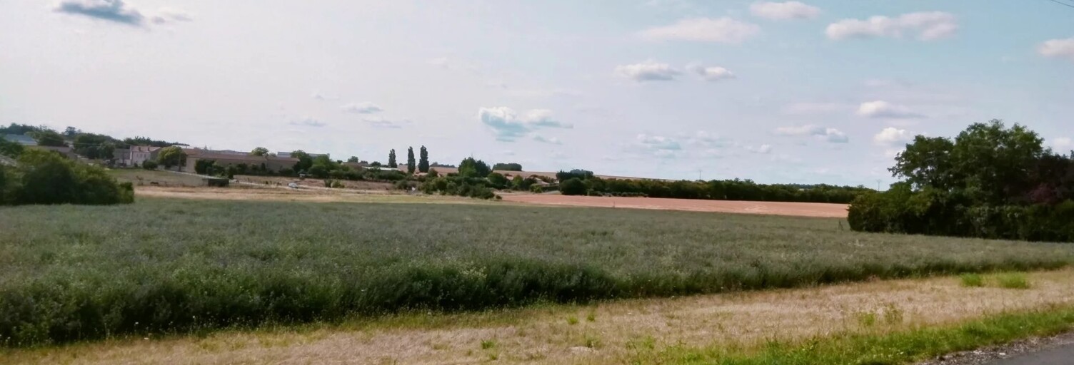 Terrain  1500 m² à vendre à Champigny en Rochereau (86170)