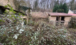Photo N° 6