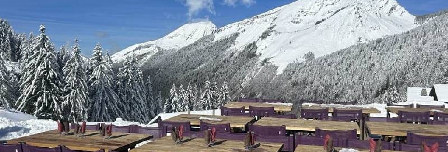 Commerce   m² à vendre à Montriond (74110)