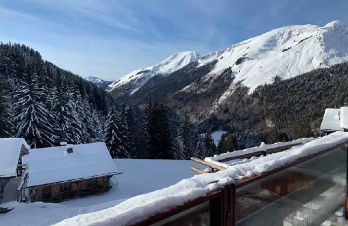 Vente commerce   Montriond (74110) — photo 3