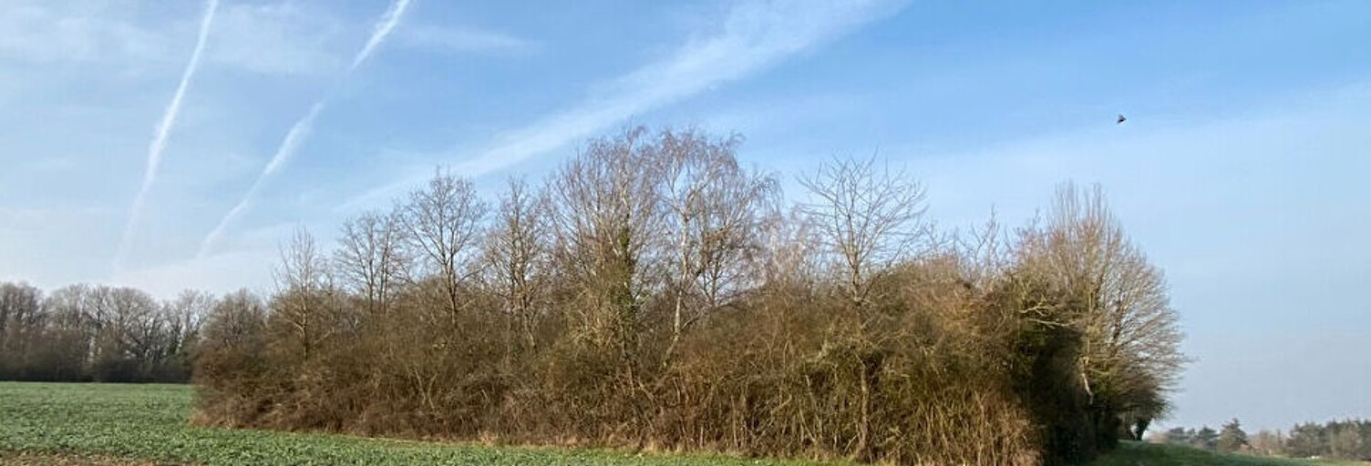 Terrain  2290 m² à vendre à Amboise (37400)