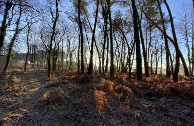 terrain  pièces 4500 m2 à vendre à Saint-Christoly-de-Blaye (33920)