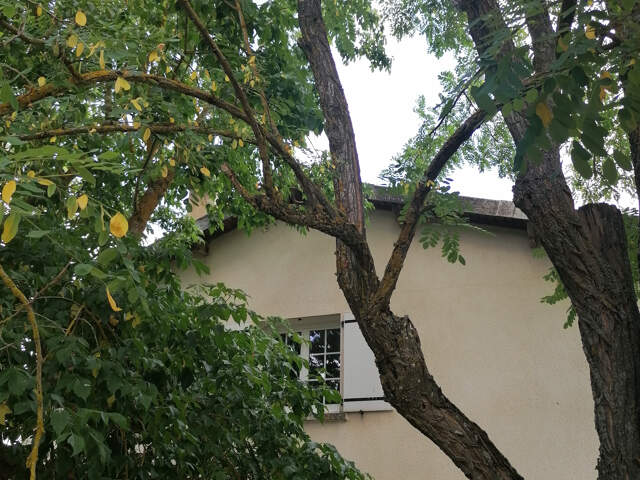 Maison 10 pièces 465 m² à Parisot — photo du bien