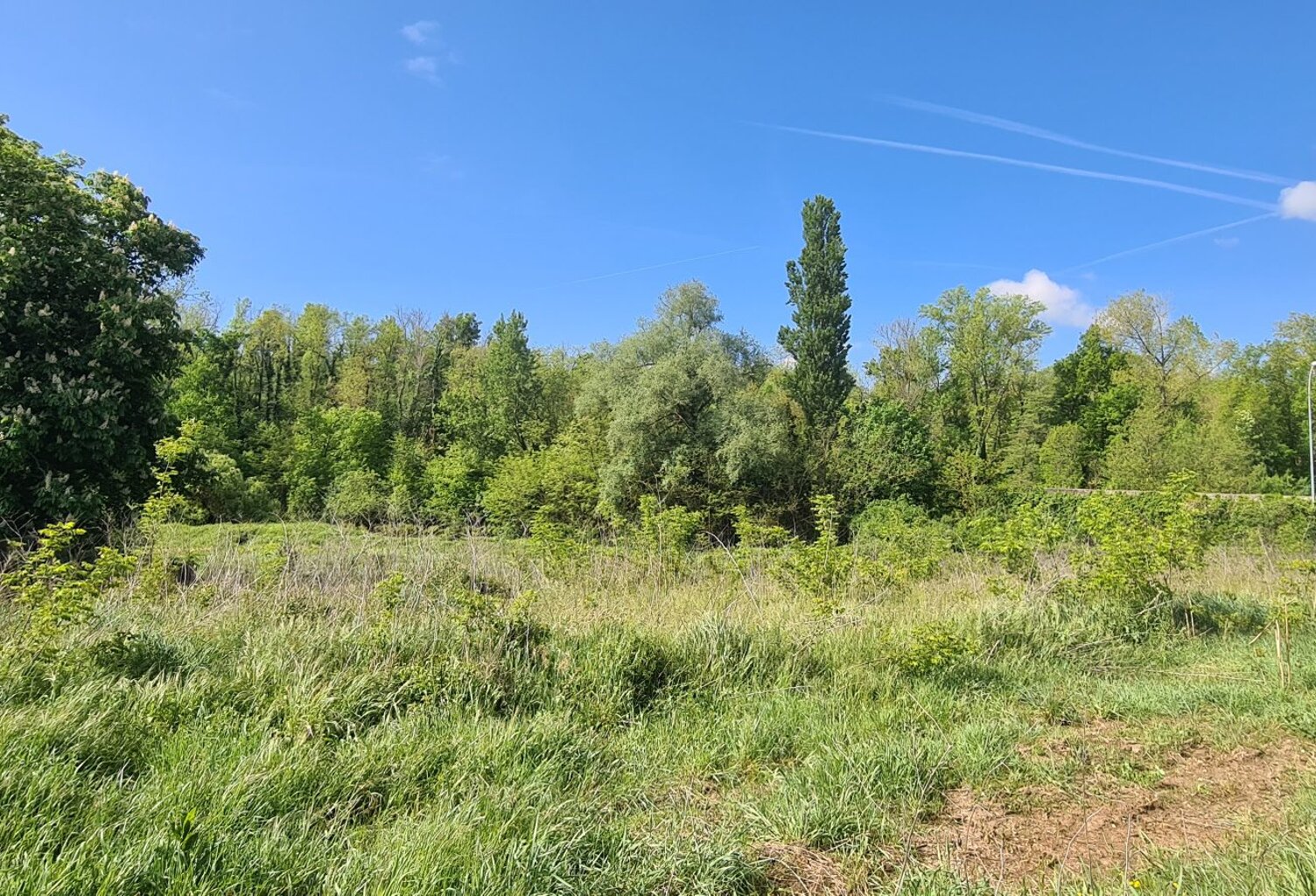 A VENDRE TERRAIN A BATIR 1156 m² SUR BOURG DE PEAGE — photo 1