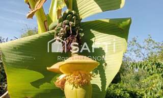 Maison 8 Pièces 240 m² à vendre à Foussais-Payré (85240)