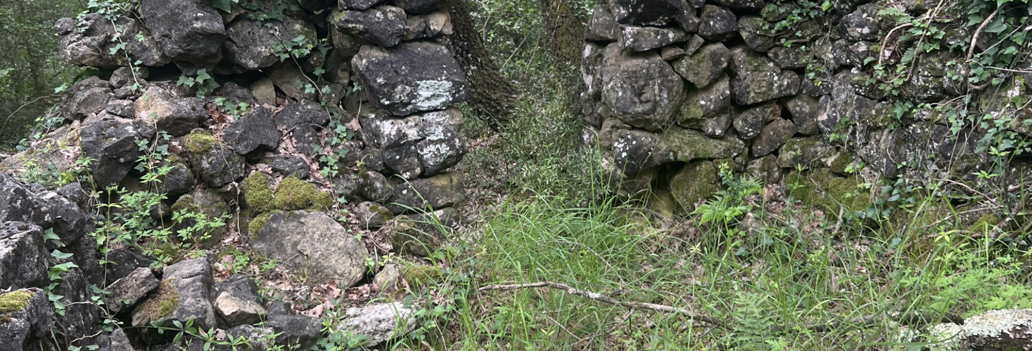 Terrain  10393 m² à vendre à Tourrettes-sur-Loup (06140)