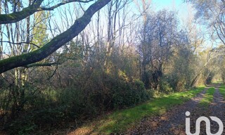 Terrain  33092 m² à vendre à Pruniers-en-Sologne (41200)