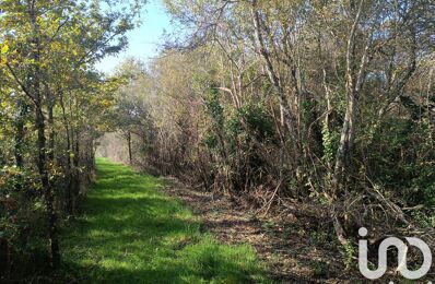 terrain  pièces 11202 m2 à vendre à Pruniers-en-Sologne (41200)