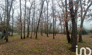 Photo N° 4