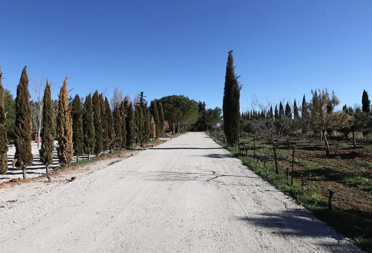 MUDAISON - Terrain de loisir 100m2 dans jardin partagé — photo 1