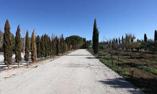 Terrain  100 m² à vendre à Mudaison (34130)