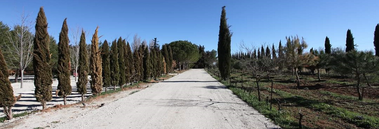 Terrain  100 m² à vendre à Mudaison (34130)