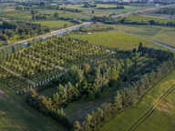 MUDAISON - Terrain de loisir 100m2 dans jardin partagé — photo 4