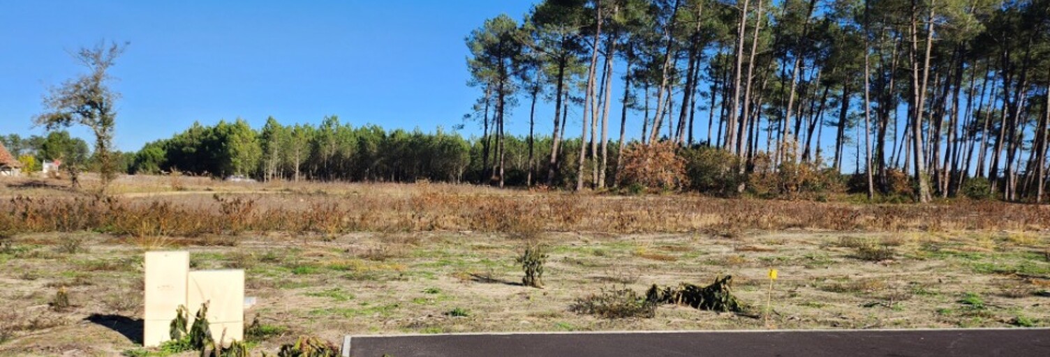 Terrain  555 m² à vendre à Pissos (40410)