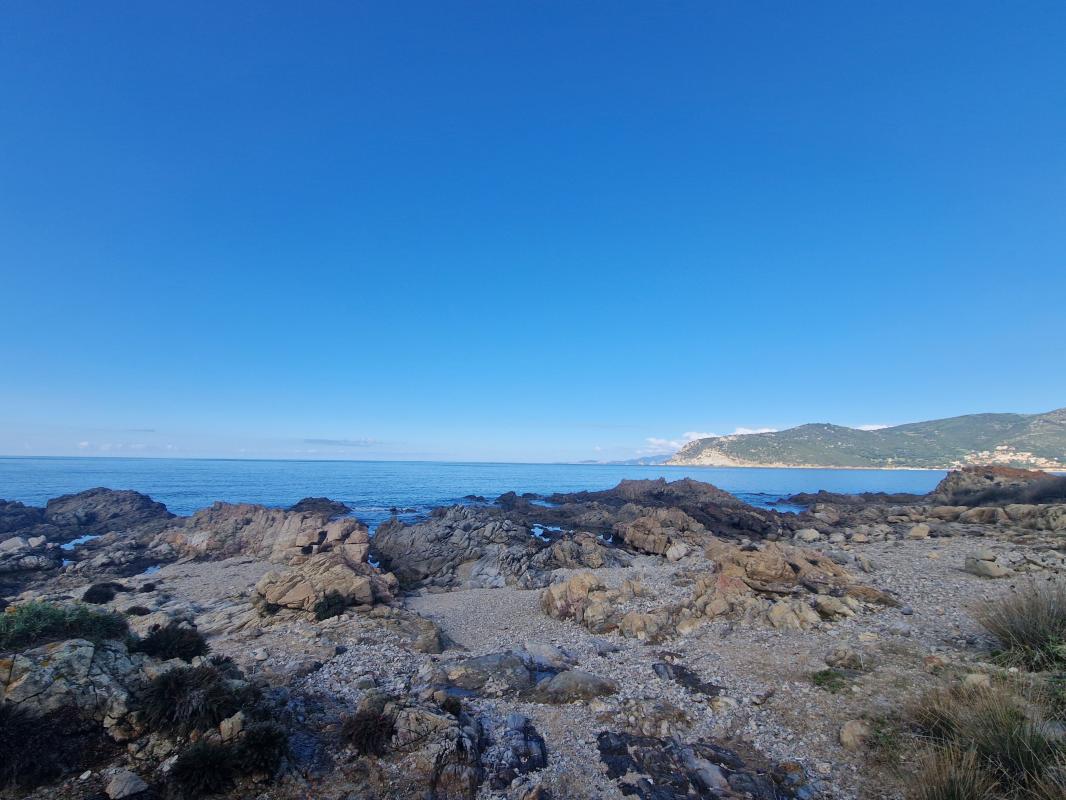 Terrain  à vendre Villanova 20167