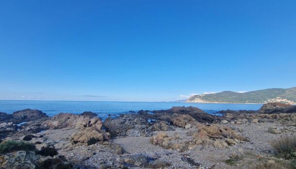 Terrain  à vendre Villanova 20167