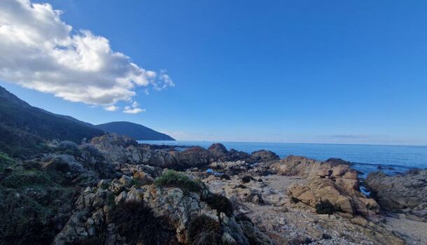 Terrain  à vendre Villanova 20167