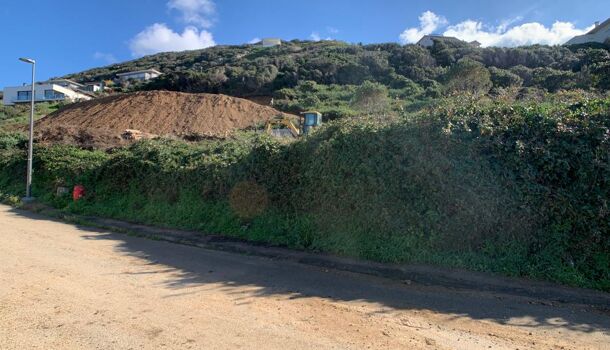 Terrain  à vendre Villanova 20167