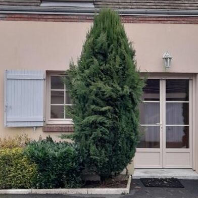 Maison 3 pièces 65 m²