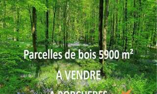 Terrain  5899 m² à vendre à Porchères (33660)