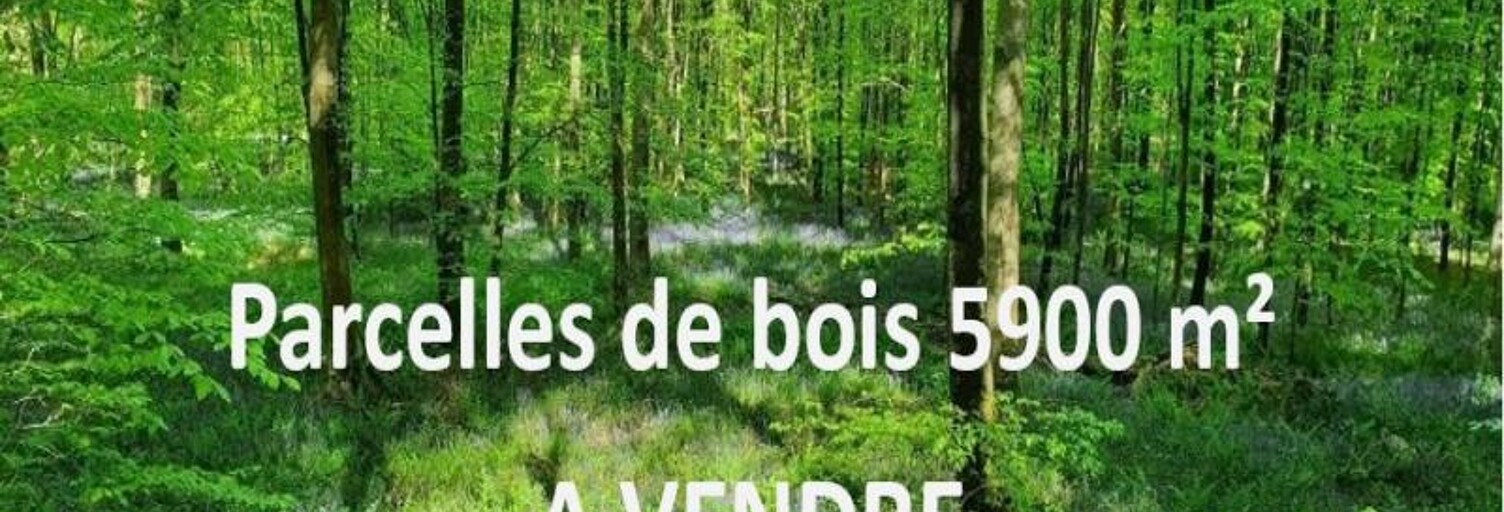 Terrain  5899 m² à vendre à Porchères (33660)