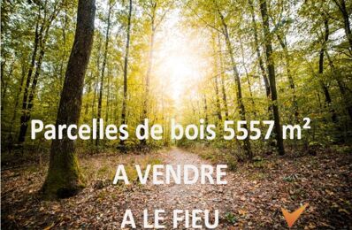 vente terrain 6 000 € à proximité de Saint-Aigulin (17360)