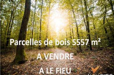 Terrain  6000 €
